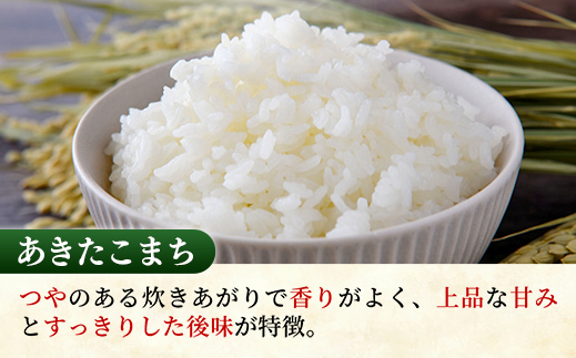 ☆令和7年産☆ 新米 『あきたこまち』精米10kg(5kg×2袋) 出荷日に合わせて精米 あきたこまち 米 お米 10kg コメ こめ 人気 銘柄 家計応援 家庭用 中山産業 茨城県産 茨城県 五霞町【価格変更AA】 『あきたこまち』精米10kg(5kg×2袋)　\22,500
