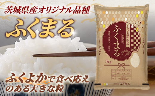 令和7年産 茨城県産 ふくまる 20kg（5kg×4袋） ／ お米 精米 新米 旨味 安心 美味しい 茨城県 五霞町 20kg　¥40,000