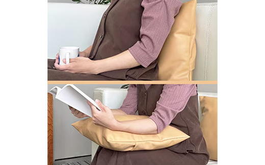 抗菌機能付き!レザークッションカバー　FNCC1-BE(ベージュ、2枚セット) - ビニールレザー フェイクレザー 合皮 クッションカバー カバー 抗菌 防汚 耐アルコール 職人 こだわり セット 茨城県 五霞町 ベージュ