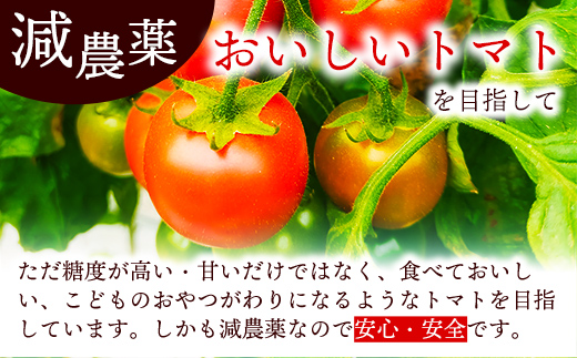 山中トマト農園がお届けする！五霞町の特選 高糖度トマト 2箱（約2kg）／ 完熟 甘い 減農薬 こだわり 贈り物 エクセレントトマト 中玉トマト 野菜 とまと 茨城県 五霞町