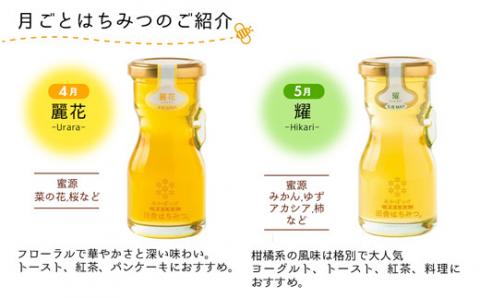 田舎はちみつ あかぼっけ 全7種(280g) 月ごとに楽しむはちみセット［専用ボトル入］| ／ 無添加 非加熱 生はちみつ ハチミツ 蜂蜜 ボトル セット 季節 茨城県 五霞町