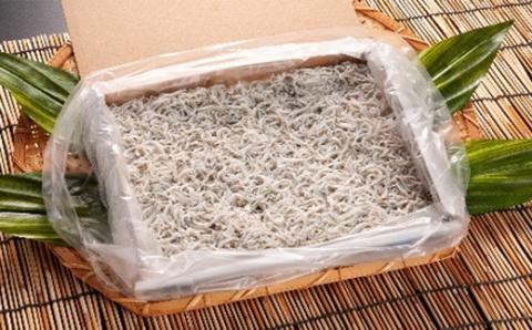 しらす干し 1キロ（茨城県共通返礼品・大洗町産） ／ しらす干し しらす 鮮度 工場直送 旨み 凝縮 料理 冷凍 1kg 茨城県