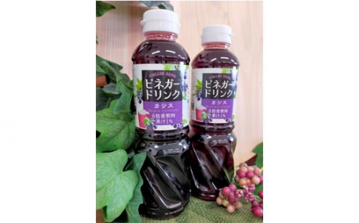 【キユーピー醸造】りんご酢・ビネガードリンクセット6 ／ 果実酢 健康 りんご酢 ビネガー ドリンク セット カシス トロピカル パイン マンゴー フルーティ すっきり 酢 キユーピー醸造 茨城県 五霞町【価格改定】