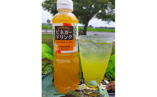 【キユーピー醸造】りんご酢・ビネガードリンクセット7 ／ 果実酢 健康 りんご酢 ビネガー ドリンク セット トロピカル パイン マンゴー 和柑橘 ゆず すだち だいだい フルーティ すっきり 酢 キユーピー醸造 茨城県 五霞町【価格改定】
