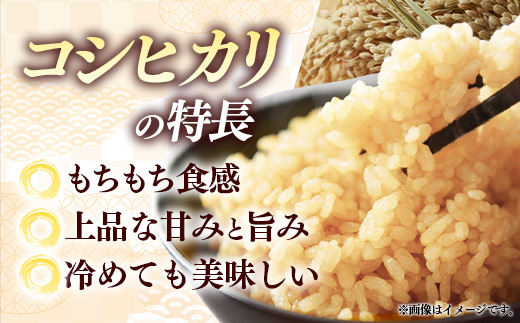 【特別栽培米】五霞町産うまい米コシヒカリ（玄米）6kg ／ 令和7年産 お米 こしひかり 減農薬 減化学肥料 茨城県 認証 取得 健康 環境【価格改定】 玄米 6kg  \17,000