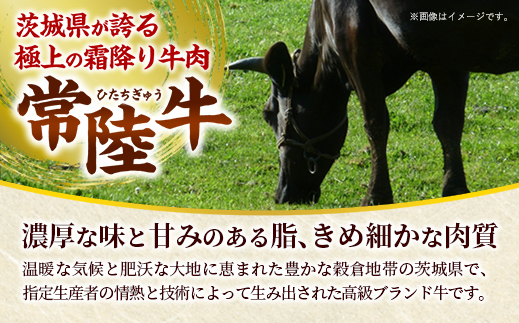 【お肉好きが注目する超人気店】「ミート矢澤」の茨城県産 常陸牛100％フレッシュハンバーグ 160g×4個（ソース付き）【5月下旬より順次配送】（茨城県共通返礼品・常陸牛使用）ハンバーグ 惣菜 黒毛和牛 牛肉100% 専門店 肉汁 牛肉 肉 和牛 ひたちぎゅう 常陸牛 ブランド和牛 国産 手ごね 手作り お弁当 おかず 簡単調理 高級 こだわり 贈り物 ギフト お取り寄せ 人気