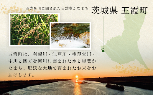 ☆令和7年産☆ 新米 『こしひかり』精米10kg(5kg×2袋) 出荷日に合わせて精米 コシヒカリ 米 お米 10kg コメ こめ 人気 銘柄 家計応援 家庭用 中山産業 茨城県産 茨城県 五霞町【価格変更AA】 『こしひかり』精米10kg(5kg×2袋)　\22,500