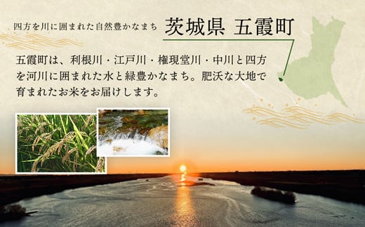 【新米】令和7年産『五霞の輝き』無洗米・16kg(5kg×2袋、6kg×1袋)出荷日に合わせて精米 - ブレンド米 お米 コシヒカリ あきたこまち ミルキークイーン ひとめぼれ ゆめひたち あさひの夢 チヨニシキ ふくまる 家庭用 家計応援 訳あり 茨城県 五霞町【価格改定ZK1】 無洗米 16kg