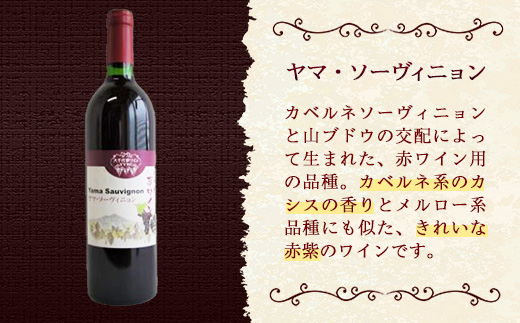 八千代夢ワイン シリーズ ヤマ・ソーヴィニョン（赤ワイン）1本（茨城県共通返礼品・八千代町）／ 国産 酒 アルコール ワイン ぶどう 中辛 贈り物 ギフト 記念日 イベント お祝い おもてなし 茨城県