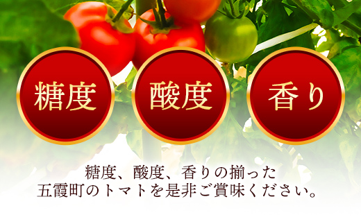 山中トマト農園がお届けする！五霞町の特選 高糖度トマト 2箱（約2kg）／ 完熟 甘い 減農薬 こだわり 贈り物 エクセレントトマト 中玉トマト 野菜 とまと 茨城県 五霞町