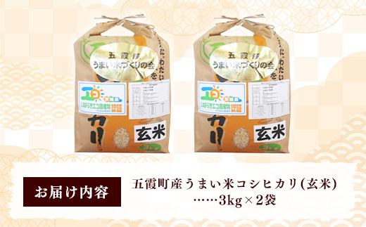 【特別栽培米】五霞町産うまい米コシヒカリ（玄米）6kg ／ 令和7年産 お米 こしひかり 減農薬 減化学肥料 茨城県 認証 取得 健康 環境【価格改定】 玄米 6kg  \17,000