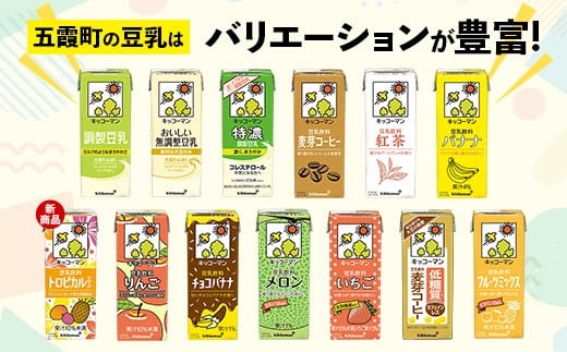 【合計1000ml×18本】北海道産大豆 無調整豆乳 1000ml ／ 飲料 キッコーマン 健康 無調整 豆乳飲料 大豆 ソイミルク パック セット 茨城県 五霞町