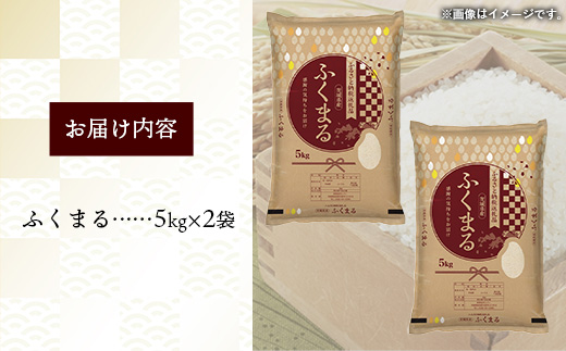 令和7年産 茨城県産 ふくまる 10kg ／ お米 精米 新米 旨味 安心 美味しい 茨城県 五霞町 10kg　¥22,000