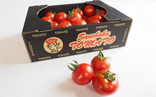 山中トマト農園がお届けする！五霞町の特選 高糖度トマト 2箱（約2kg）／ 完熟 甘い 減農薬 こだわり 贈り物 エクセレントトマト 中玉トマト 野菜 とまと 茨城県 五霞町