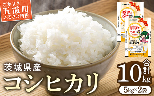 令和7年産 茨城県産コシヒカリ10kg（5kg×2） ／ お米 精米 こしひかり 旨味 安心 美味しい JA茨城むつみ 茨城県 五霞町【価格改定】