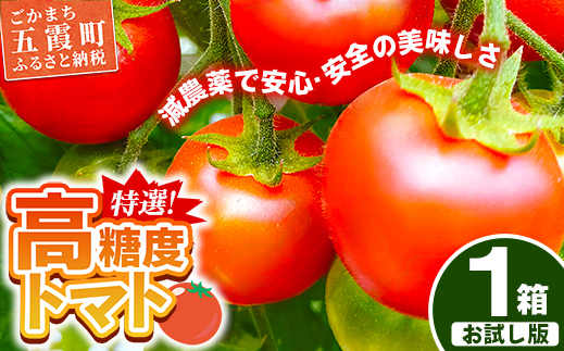 山中トマト農園がお届けする！五霞町の特選 高糖度トマト お試し 1箱（約1kg）／ 完熟 甘い 減農薬 こだわり リコピン エクセレントトマト 中玉トマト 野菜 とまと 茨城県 五霞町