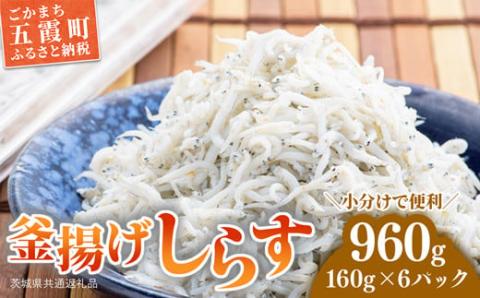釜揚げしらす 6パック ( 160g × 6パック ) 約 1キロ（茨城県共通返礼品・大洗町産） ／ しらす 釜揚げしらす 小分け 便利 とろける 食感 新鮮 冷凍 茨城県