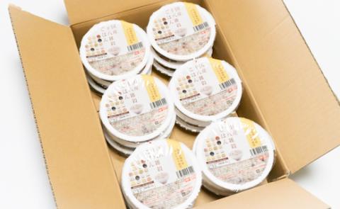 【2025年12月内発送】境町産こしひかり使用 国産十八雑穀ごはん ヘルシー パックライス 160g×18個