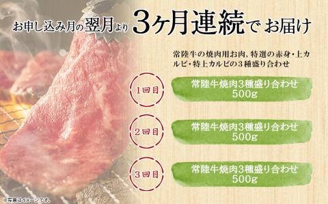 【定期便/3か月連続お届け】 常陸牛 特選焼肉3種盛り合わせ 赤身・上カルビ・特上カルビ (500g×3回)