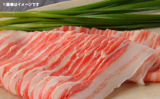 【12回毎月定期便】 塚原牧場 幻の豚 「梅山豚」 しゃぶしゃぶセット ブランド豚 メイシャントン 境町