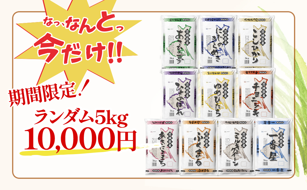 【令和7年産/白米】 ＜令和8年1月内発送＞ ※ランダム※  茨城県産 5kg 米 小分け 2025年産 精米 K2464