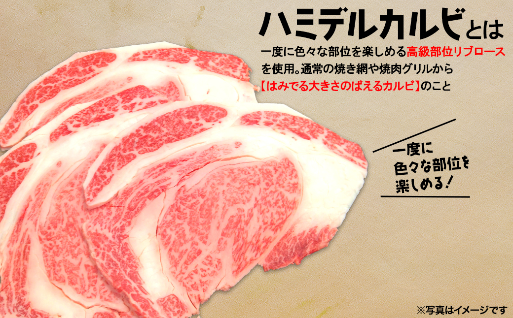 【常陸牛】ハミデルカルビ 500g (3～5枚) 〈茨城県共通返礼品〉