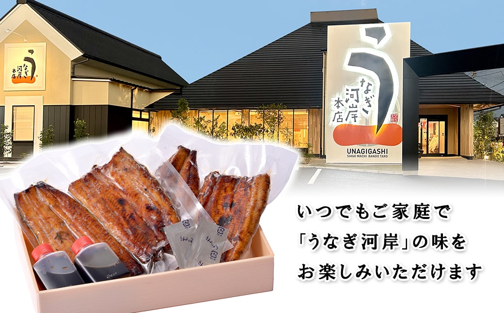 うなぎ河岸本店 【国産】 鰻蒲焼き 2尾 山椒/タレ付 ウナギ