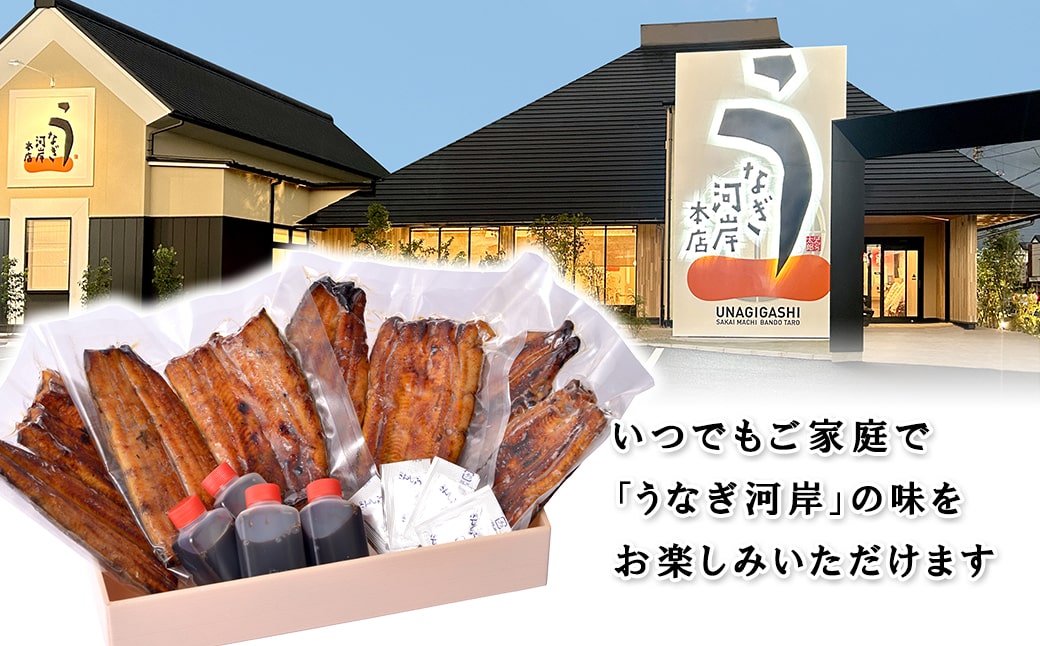 うなぎ河岸本店 【国産】 鰻蒲焼き 4尾 山椒/タレ付 ウナギ