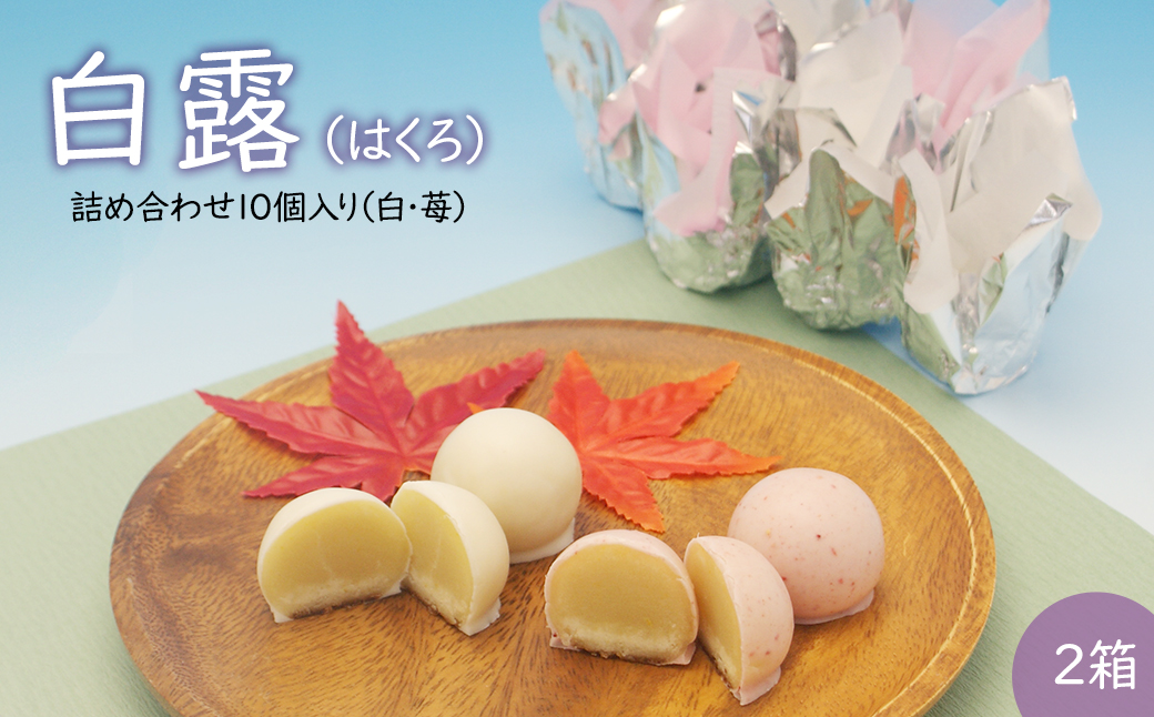 白露(はくろ) 詰め合わせ 10個入り × 2箱 (白・苺)