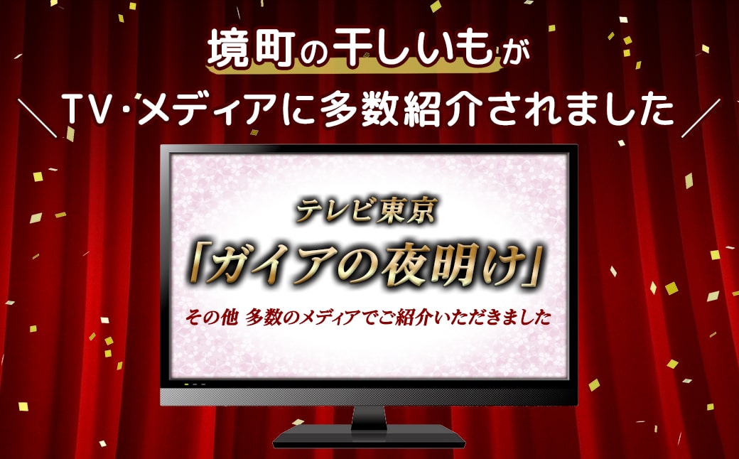 茨城県産 熟成紅 はるかの干し芋 500g (100g×5袋) 簡易包装 冷蔵