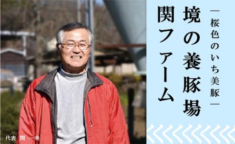 茨城県産豚肉 いち美豚詰合せ2種セット2kg（200g×10パック）