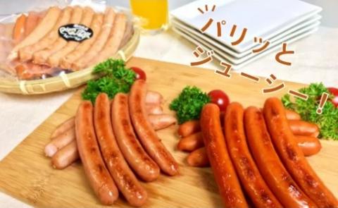 【ふるさと納税限定】いち美豚の特製ウインナー2種類 200g×8パック（合計16パック）