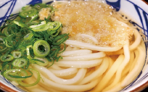境の手のばし麺 うどん 10人前×10箱