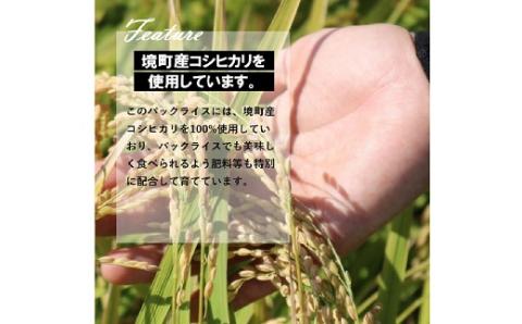 【2025年12月内発送】境町産こしひかり使用 国産十八雑穀ごはん ヘルシー パックライス 160g×18個