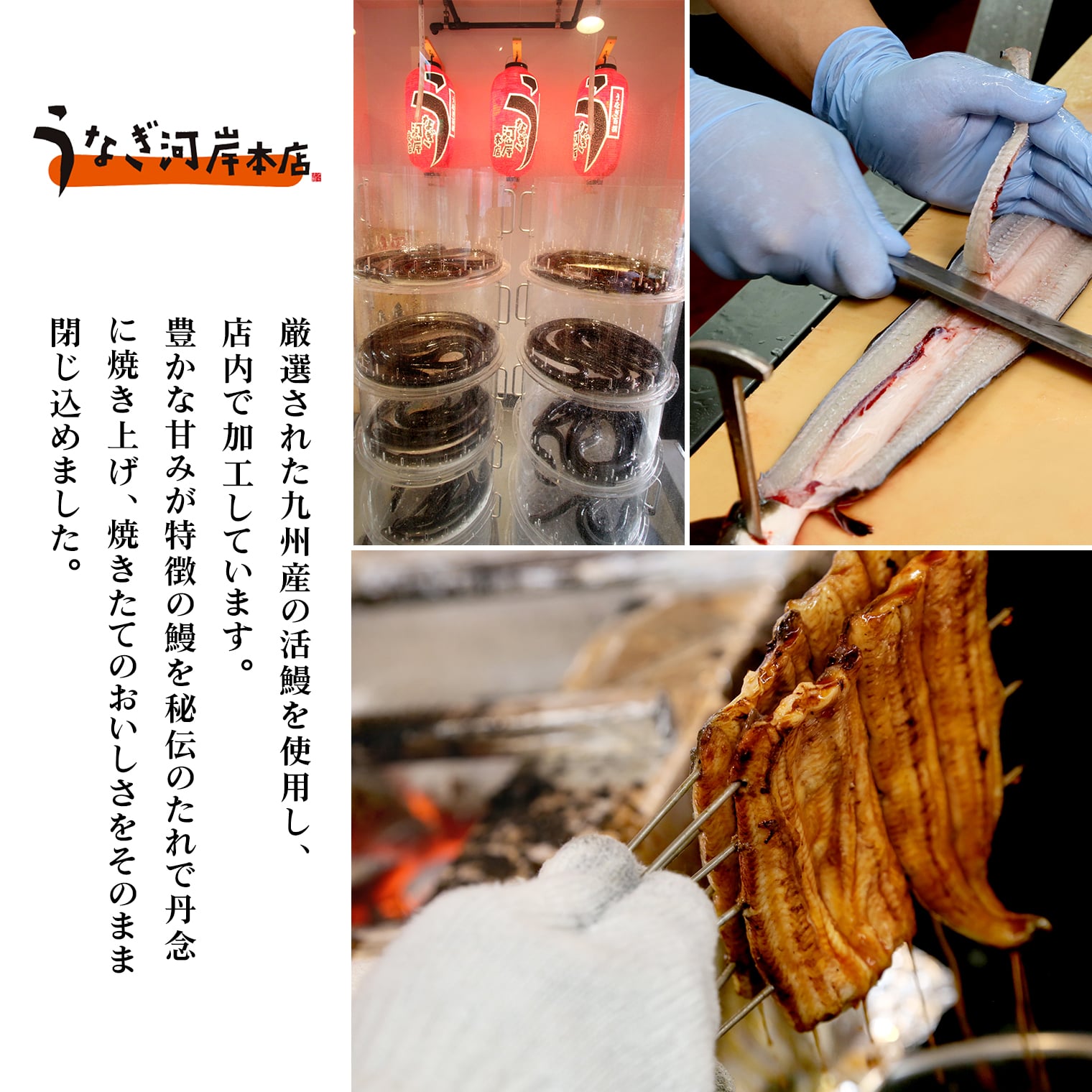 うなぎ河岸本店 【国産】 鰻蒲焼き 1尾 山椒/タレ付