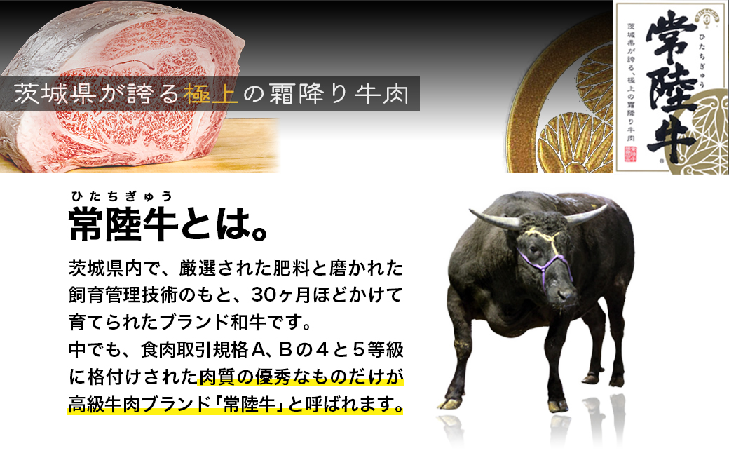 【茨城県共通返礼品】 WO-29Butchers 常陸牛サイコロステーキ 500g