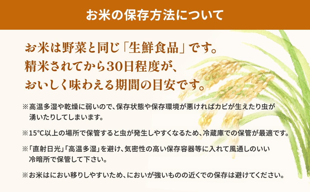 【新米/白米】茨城県産 あきたこまち 10kg (5kg×2袋) ＜令和7年12月内発送＞ 新米 米 精米 小分け 2025年産 令和7年産 K2568