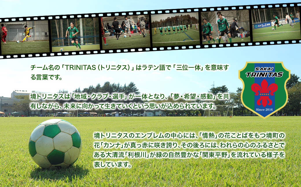 【2026年1月内発送】 境トリニタス応援ボックスティッシュ 400枚(200組)×5箱 日用品 防災 消耗品 必需品 花粉 風邪 ティシュ ボックス ボックスティッシュ K2602