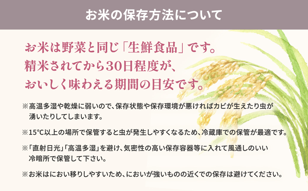 【新米/白米】 ミルキークイーン 令和7年産 10kg (5kg×2袋) 茨城県産 小分け 人気 K2661