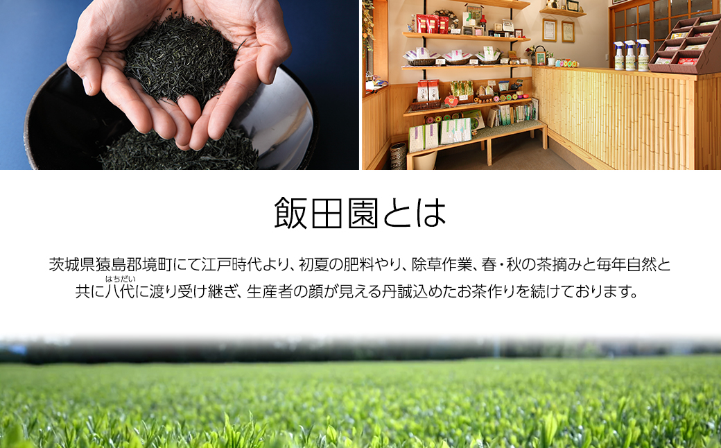 【境町産さしま茶100％】「シングルオリジン」品種茶5種飲み比べセット計400g