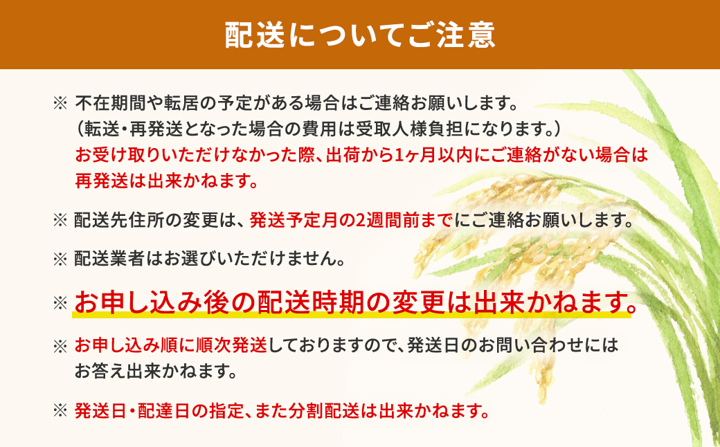 【新米/白米】茨城県産 にじのきらめき10kg (5kg×2袋) ＜令和7年12月内発送＞ 新米 米 精米 小分け 2025年産 令和7年産 K2656