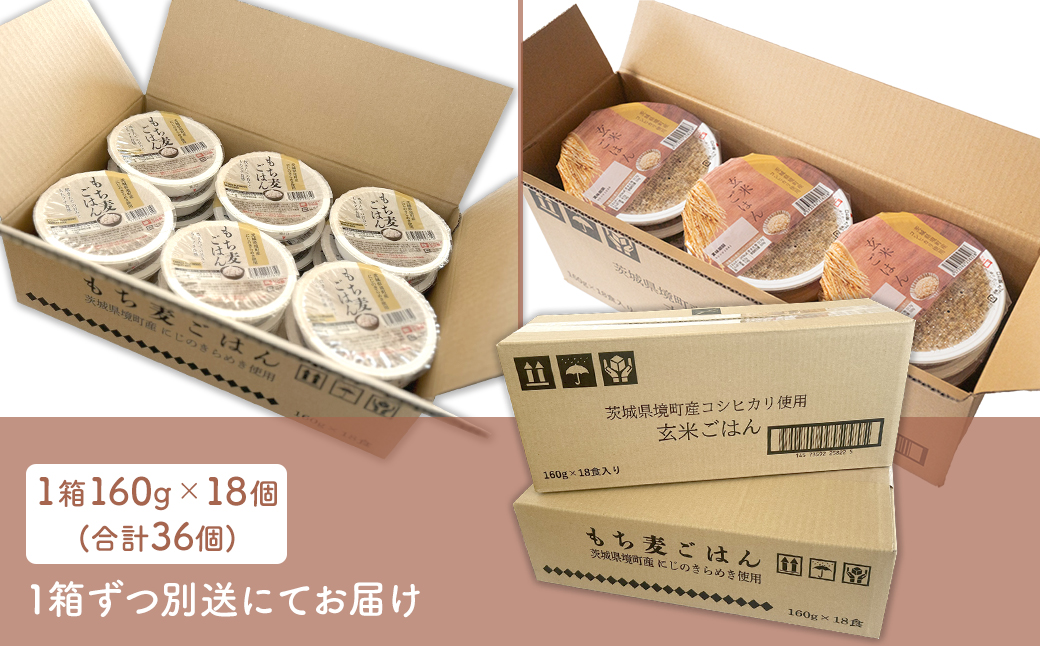 【最短翌日発送】茨城県境町産米使用 パックごはん 玄米・もち麦 各160g×18個 計36個 パックライス ライスパック 人気 K2675