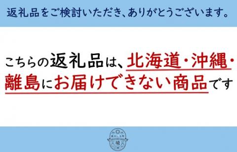 和紅茶ティーバッグ120個セット