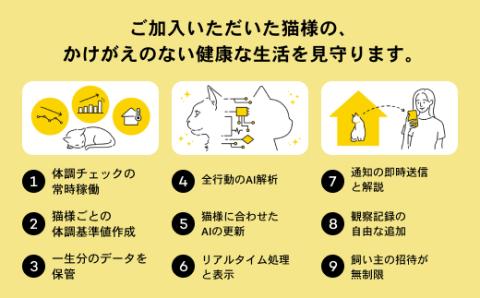 【1猫様用】Catlog 基本セット