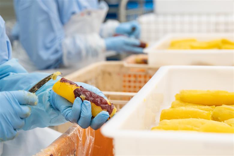 ＜11月内発送＞【今だけ限定】 茨城県産 熟成紅はるか 干し芋 切り落とし おすそわけ！ 2kg（200g×10袋入）【2000セット】