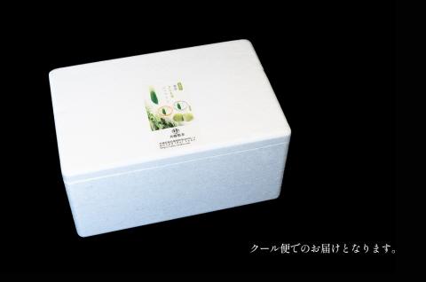 お茶農家の濃厚さしま茶ジェラート 8個入りセット