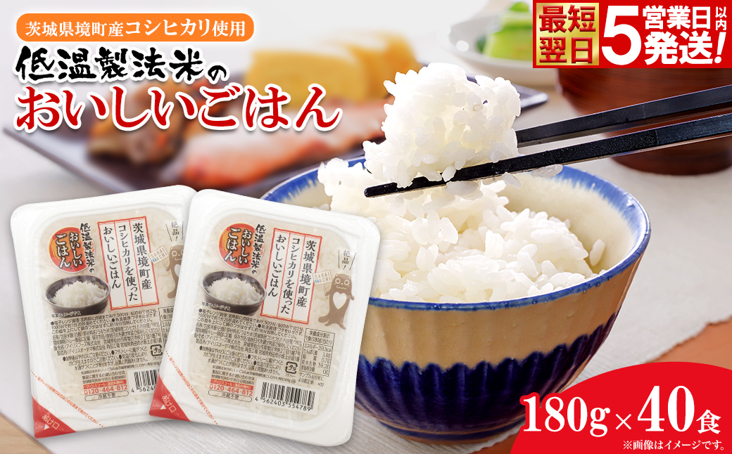茨城県境町産コシヒカリ使用 低温製法米 おいしいごはん(パックごはん) 180g×40食(1箱) K1464