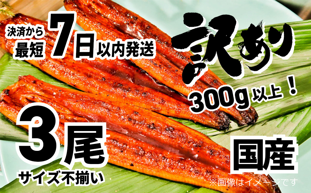 〈7日以内発送〉【訳あり】さかい河岸水産の国産うなぎ3尾 300g以上! ※サイズ不揃い