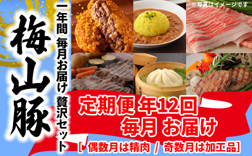 K1877 【12回毎月定期便】塚原牧場の幻の豚「梅山豚」の贅沢定期便  ブランド豚 メイシャントン 境町
