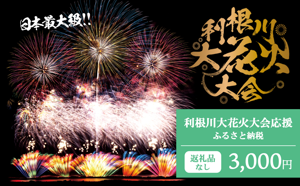 【返礼品なし】利根川大花火大会応援ふるさと納税  (3000円分)  【茨城県境町】